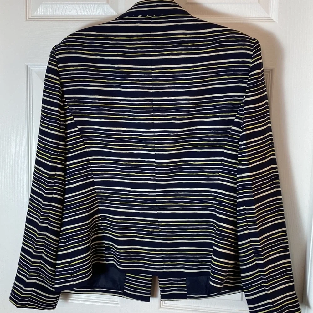 Kasper & Company ASL Pinstripes Jacket Hidden Button Front closure Size 16